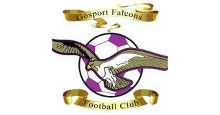 Gosport Falcons Football Club